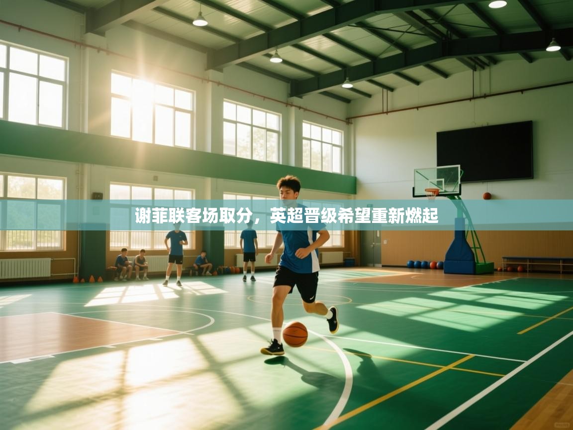 开云体育在线玩-谢菲联客场取分，英超晋级希望重新燃起